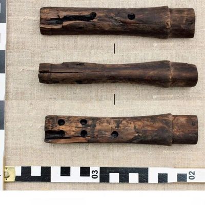 Ученые изучили необычный музыкальный инструмент, найденный в Старой Руссе - Брянск - Yansk.ru