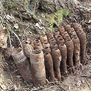 Под Жуковкой нашли и обезвредили склад немецких мин - Брянск - Yansk.ru