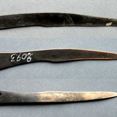 В Новосибирском университете определили, какими инструментами пользовались древние хирурги - Брянск - Yansk.ru