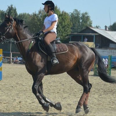 10 августа прошел турнир по конному спорту - Брянск - Yansk.ru