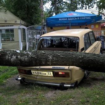 В Брянск пришла пора гроз и ураганов - Брянск - Yansk.ru
