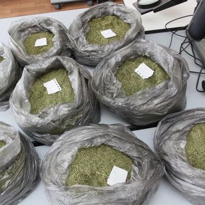 Брянские таможенники задержали 7 килограммов марихуаны - Брянск - Yansk.ru