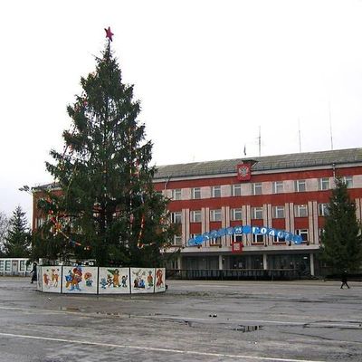 Пропавшую школьницу из Новозыбкова нашли возле новогодней елки - Брянск - Yansk.ru