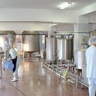 В Клетнянском районе появится молочный мини-завод - Брянск - Yansk.ru