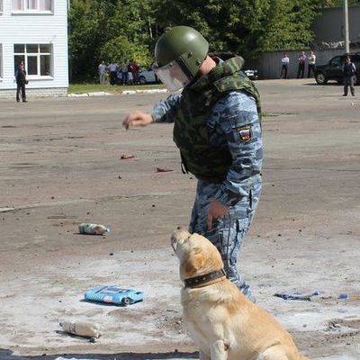 В преддверье праздничных мероприятий полицейские провели антитеррористические учения - Брянск - Yansk.ru