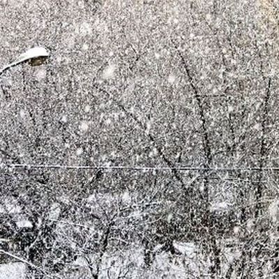 В Брянске и области ожидаются неблагоприятные погодные условия - Брянск - Yansk.ru