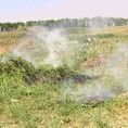 �������� ������ ������������: ������ ����� - ������ - Yansk.ru