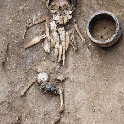 В Хакасии ученые изучили захоронение возрастом около 4500 лет - Брянск - Yansk.ru